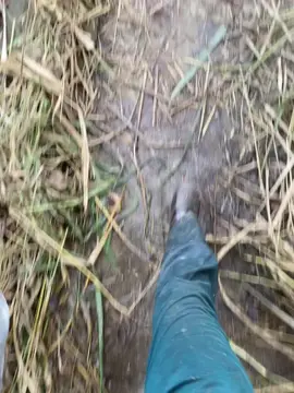 bão này Lúc mưa lúc tạnh Cứ như này đợi mất thôi phải cố gắng Đi làm thôi ⛈️ 😪 🥰 #kpuihnhun  #xuhuong 