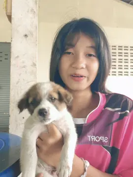 มีแต่คนมีเจ้าของ