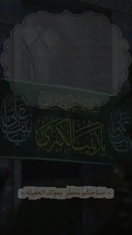 وَفِي صَبَاحِ الخَامِسِ مِنْ جُمَادَى الأَوَّل صَبَاحٌ تَفُوحُ مِنْهُ رَائِحَة الطُّهْرِ وَالنُّقَاء   وَيَتَوَشَّحُ الفَجْرُ فِيهِ بِرِدَاءِ السَّكِينَةِ والطُّمَأْنِينَة  فَيَنْبُضُ القَلْبُ بذِكْرَى  وِلادَة العقيِّلة زَيْنَب (ع) فتُبَارِكُت الْأَيَّامَ بِقدُومِهَا، وَتُعَطِّر الزَّمَان بِسِيرَتِهَا اللَّهُمَّ بِحَقِّ مَوْلِدِهَا الزَّاكِي ، اجْعَلْ صَبَاحَنَا  بَدْرًا مِنْ نُورِهَا وَيَوْمَنَا مَسْرُورًا بِبَرَكَتِهَا  وَقُلُوبَنَا مُتَوَجَّةً بِحُبِّهَا وَذِكْرِهَا #viral #fypシ #fyp #foryou 