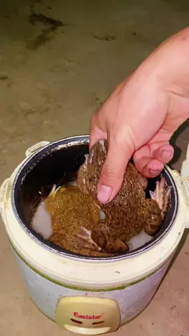 Ếch hấp cơm #tuanfood #echhapcom 