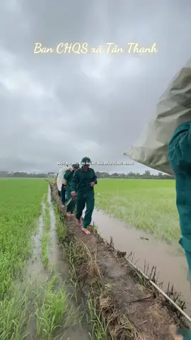 Còn thở là còn gỡ 🔥 #xuhuong #danquantuve #mientay #quandoinhandanvietnam #peak 