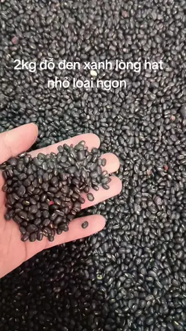126K/2kg đỗ đen xanh lòng, thơm ngon, béo ngậy #tiktok #tiktoklive #tiepthilienket #daudenxanhlong 