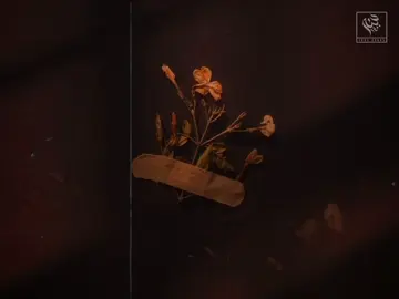 -🙂❤️‍🩹