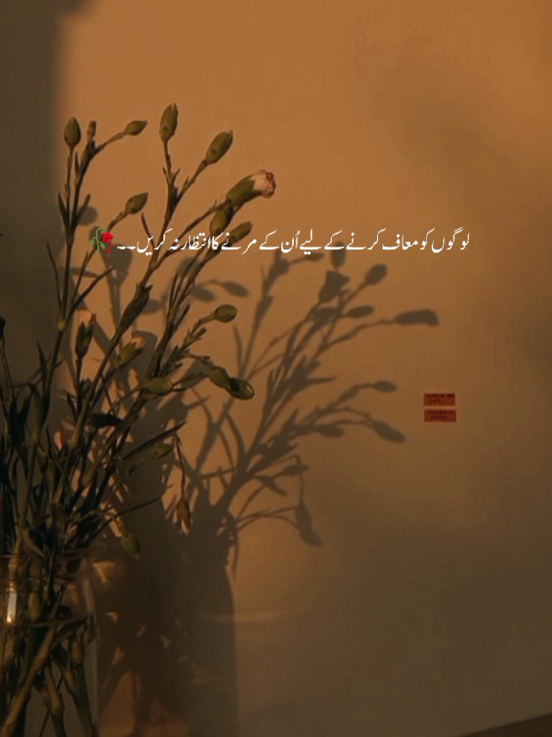 🥀 ... ... #fyp #tiktok #trending #reality #poetrystatus 