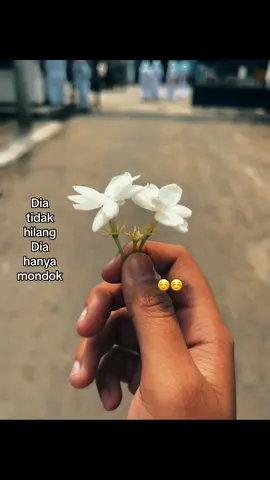 tebak deh bunga apa #capekgakfyp #massantri #fypシ #masukberanda #anakpondok 