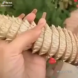 #creatorsearchinsights 