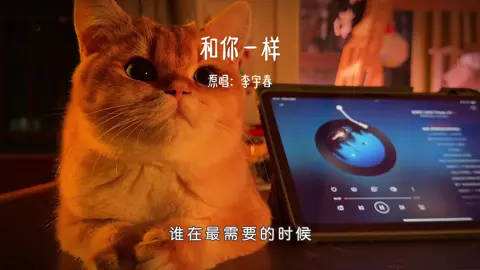 我知道你最近很累，身体上精神上，以及对未来的无力感，我知道不容易，但请你坚持下去，相信过了雾霾就是晴天，加油！#治愈系 #和你一样