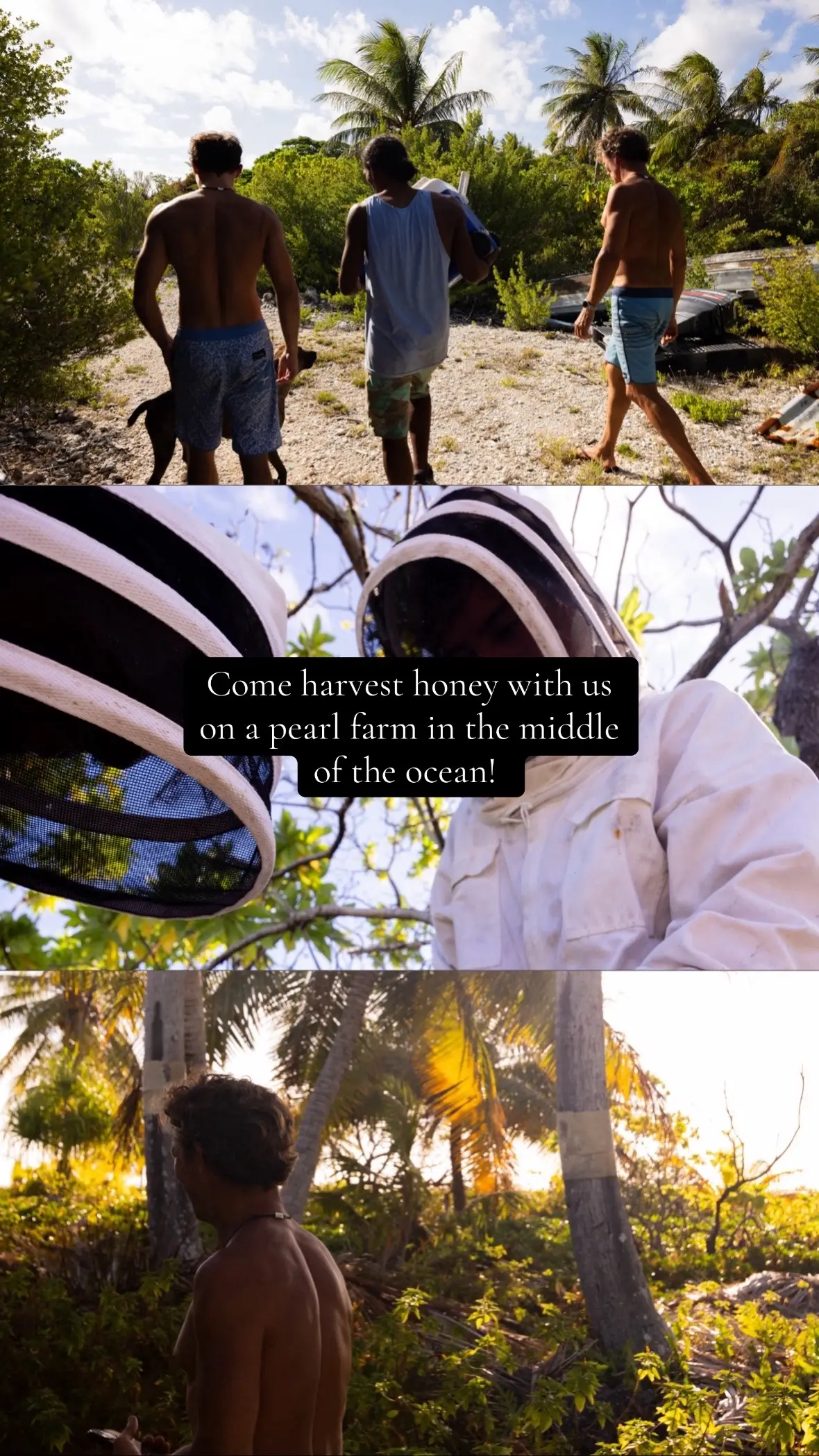 Self sustainable living >