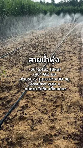 เทปสายน้ำพุ่งขนาด 1 นิ้ว #เทปสายน้ําพุ่ง #สายน้ําพุ่ง #เทปสายน้ําพุ่ง1นิ้ว 