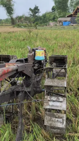 #tiemngiwomadang #rd1102t 