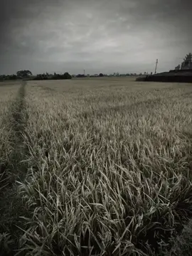 爱情就像火焰，如果不懂珍惜，它很快就会熄  