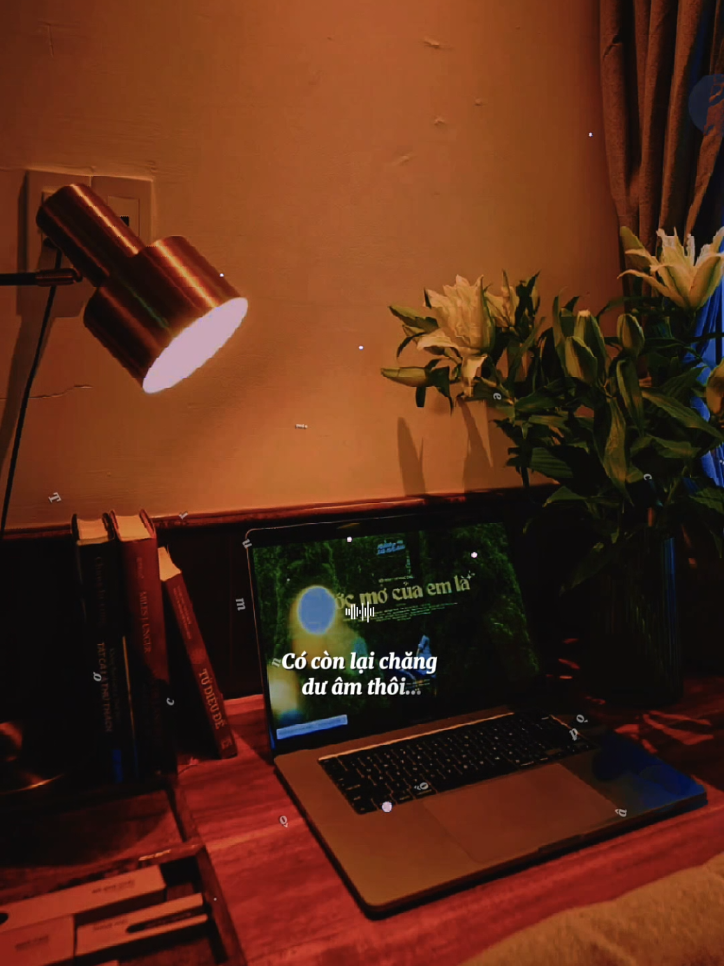 Thôi rồi còn chi đâu em ơi... Có còn lại dư âm thôi... [ Tình Lỡ Rock ] #tinhlo #nhacbuontamtrang #tramcamxuc💔 #maucapcut #phonhac 