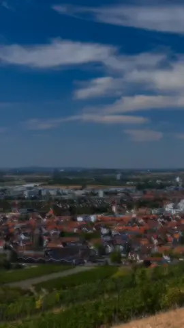 #creatorsearchinsights #viralvideos #foru #fyp #muslim 