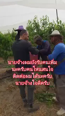 #แรงงานไทยในอิสราเอล🇹🇭🇮🇱 นายจ้างซื้อโค้กขนมมาให้ครับ