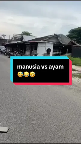 Video lucu ngakak core bikin sakit perut viral fyp terbaru 2025 paling konyol buat konten brutal menghibur, manusia vs ayam 😅😂🤣 #lucuparahkonyol #lucupoll #lucubanget #videolucubanget #lucufyp 
