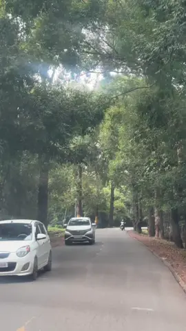 មេឃស្រទុំល្អណាស់នៅសៀមរាប…..#ទឹកដីអច្ឆរិយៈក្រុងអង្គរ🇰🇭 #តាកែវផ្ទះខ្ញុំ💗🤟🇰🇭 