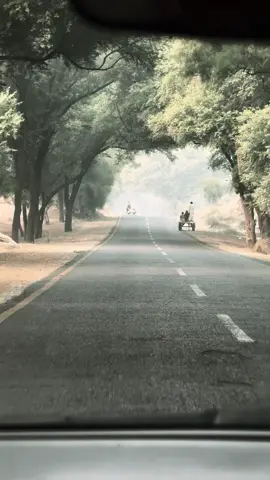 #پنجاب #خوشاب #تھل #نور پور تھل 