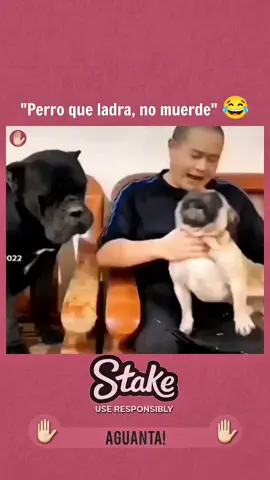 😂😂😂