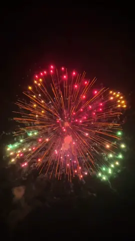 How about fireworks like this?@mutong fireworks @mutongpaopao @fireworks- Luna #mutongfireworks #ColorSplash #NightMagic