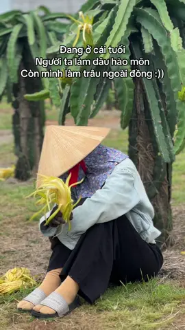 Cho mình xin 1 vé hào môn :)) #motminhvanvui #vuivemoingay❤️ #86 #binhthuan 