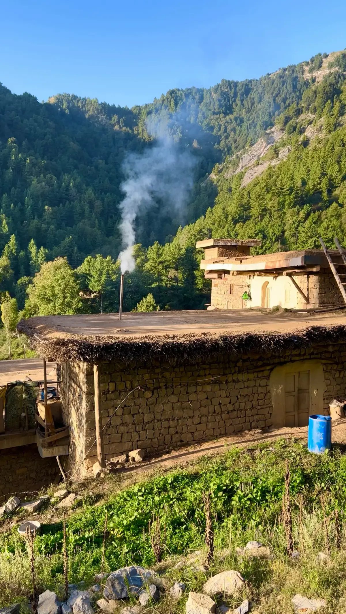 Khog Watan Tirah valley Khyber ⛰️🌸         #tirahvalley #foryoupage #villagelife #triballife #shahab_afridi313 