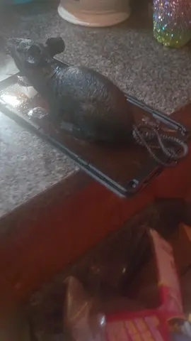 kids halloween party 