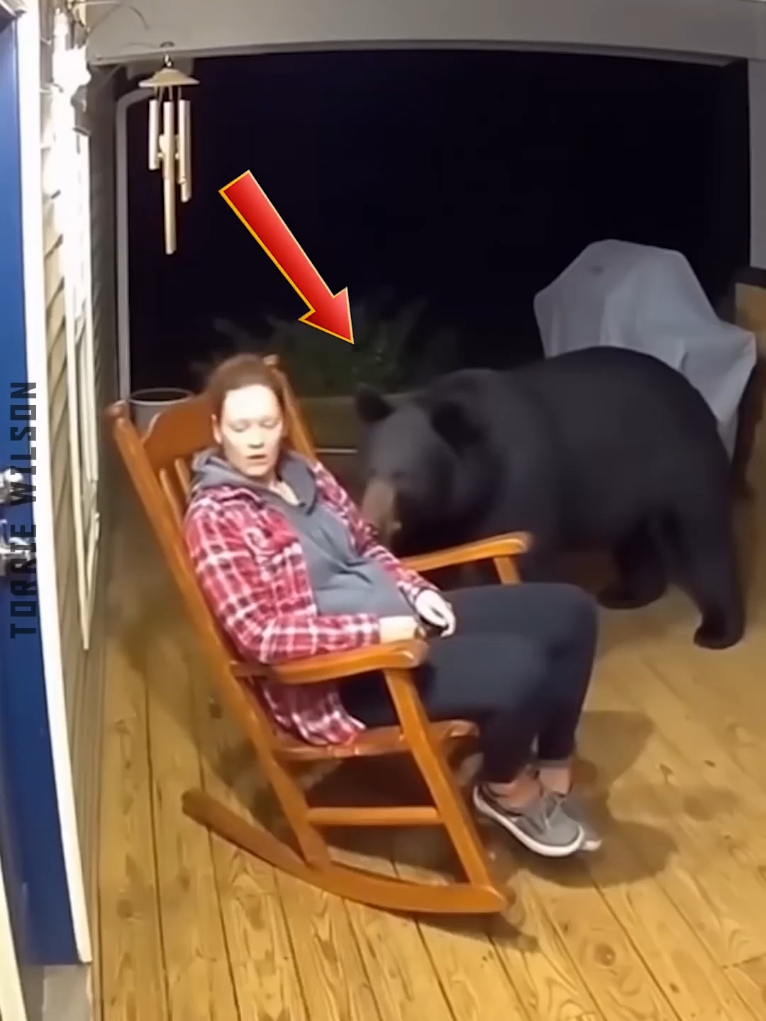 #foryou #fyp #meme #divertido #gracioso #pet #funnyvideos #dog #cat #猫おもしろ #アテレコ #funnyanimals #dogsoftiktok #catsoftiktok