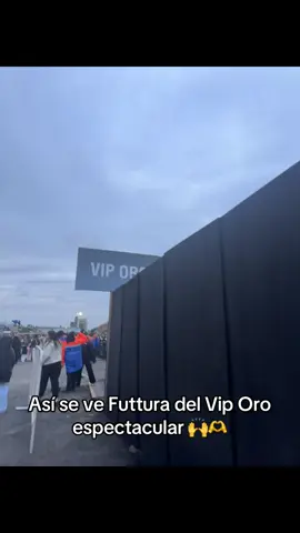 #tini #tinistoessel #tecnopolis #futtura 