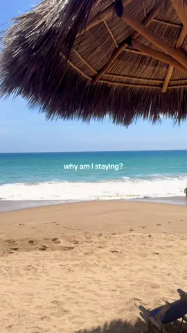 🤍 #creatorsearchinsights #lanadelrey #whitemustang 