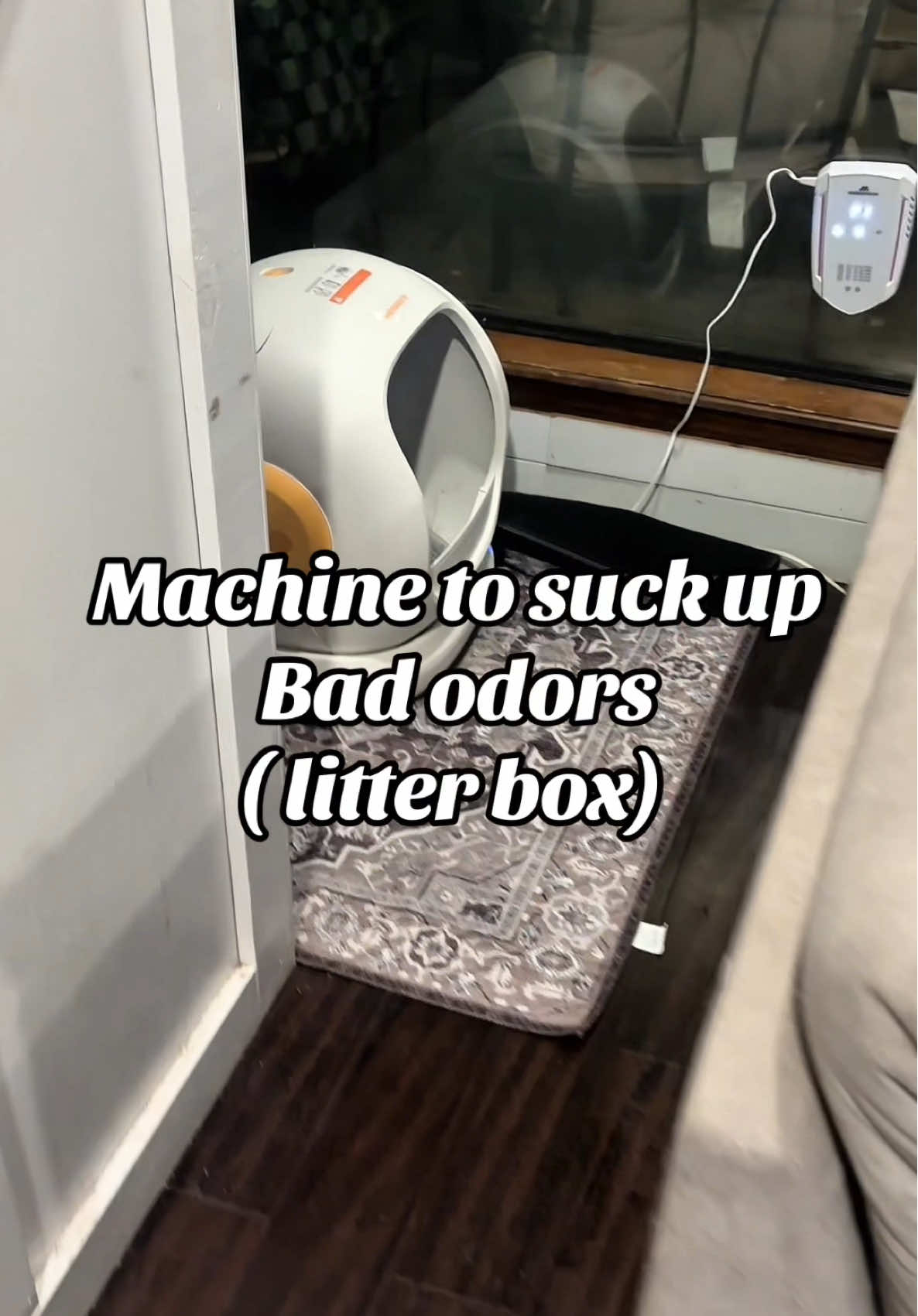 Refresh your home with this compact Air Disinfection Machine designed to help reduce odors, bacteria, and airborne impurities using advanced ozone technology. It’s perfect for pet areas, bathrooms, kitchens, or anywhere that needs a little extra freshness. With multiple timed modes, soft LED lighting, and a sleek modern design, it quietly works in the background to keep your space smelling clean and feeling healthier. Just plug it in, set your mode, and enjoy fresher air every day. #catlover #odorremoval #petlover #litterbox #CleanTok 