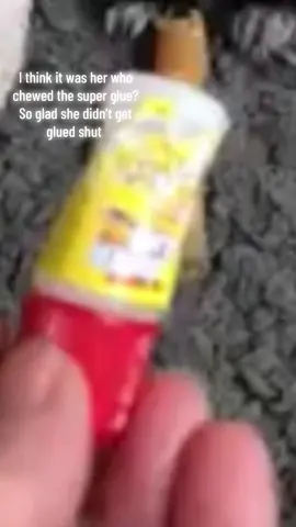 #creatorsearchinsights #cutepets, #animalcuteness #dogsbeingcute #oreothechorkie 