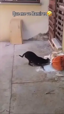 que me veee ??? 🤣🤣🤣