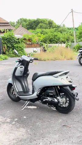 Padet 🤤 #fyp  #fypage  #scoopymodifikasi  #scoopyindonesia  #scoopypropperindonesia 