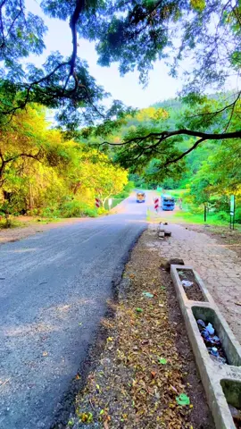 ✨#ruhunuexpress #ND2408 #trending #foryou #wheneverwherever 