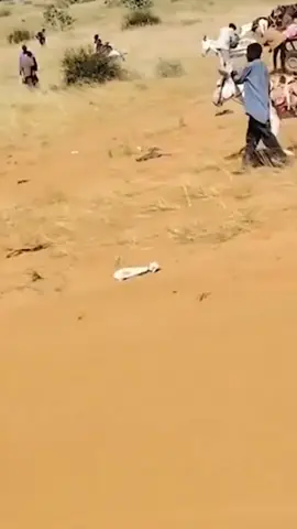 #creatorsearchinsights  قرآن كريم سورة الحج {أُذن للذين يُقاتلون بأنهم ظلموا وإن الله على نصرهم لقدير}  تلاوة الشيخ محمد عثمان حاج علي اللهم انصر السودان وأهل الفاشر اللهم انصر الإسلام والمسلمين #قران_كريم #quran #الفاشر #السودان 