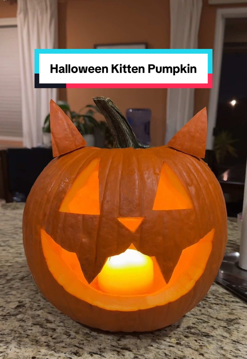 The viral Kitty Pumpkin 🎃🐱!! This idea was perfect and so EASY to make.  #pumpkinideas #halloween #pumpkinseason #spookyseason 