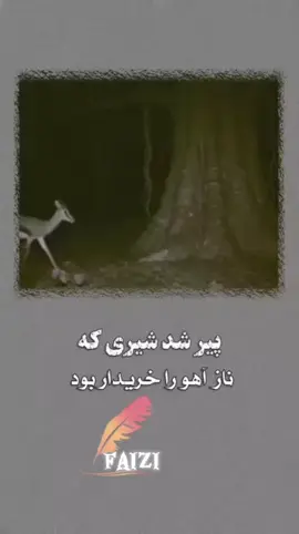 #creatorsearchinsights 