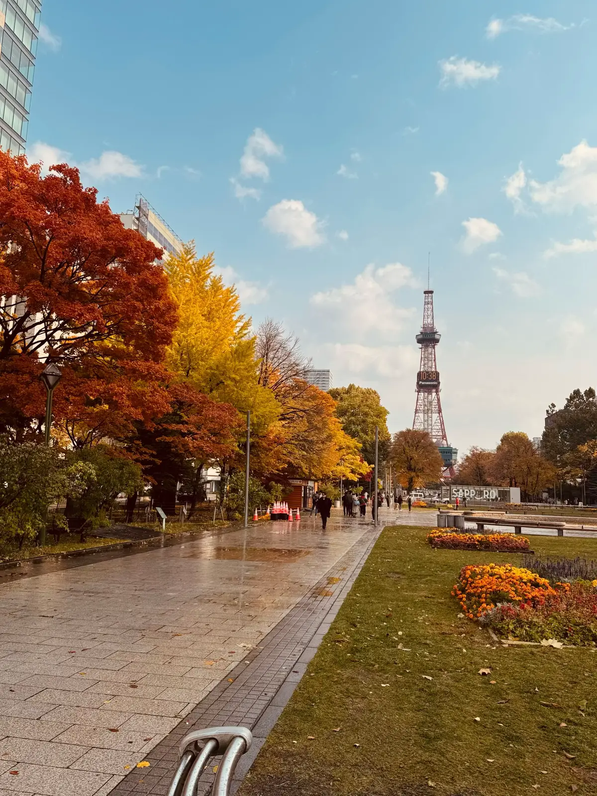 Mùa lá đỏ🍁Sapporo🗼