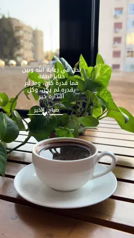 نحن في رعاية الله وبين حنايا لطفه فما قدره كان، وما لم يقدره لم يكن، وكل أقداره خير#صباح_الخير #رسالة_اليوم #goodmorning #❤️ 