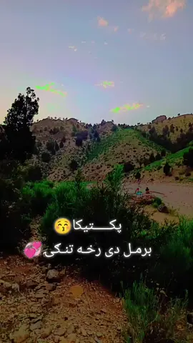 #afghanistan #راشدخان #aF  دى مجلس ورځ💔🥺