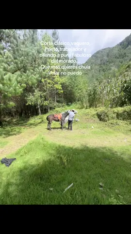 #vaquerosmexicanos #caballosmexico #canelosdedurango #delranchoparaelmundo #paratiiiiiiiiiiiiiiiiiiiiiiiiiiiiiii 