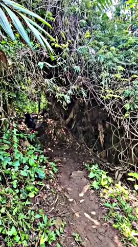 #😊😊😊 ##gunung pancar sentul