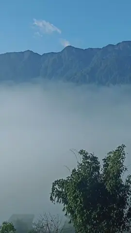 Một sớm tinh mơ, khi thế giới xung quanh còn đang yên ắng. Cảm nhận không khí trong lành thấy cuộc sống cũng nhẹ nhàng hơn. #nước #sapa 