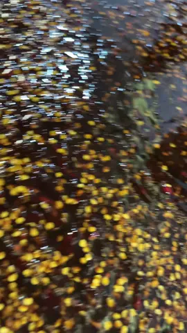 Buruan  cobain  rujakan jadi praktis pake petis mercon🤤#fyp #masukberanda #petismdr #sakera #petis 