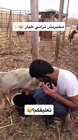 الوظيفة طيار حليب🍼 😂😂😂😂