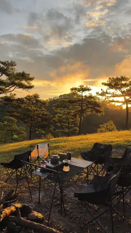 Anh nói yêu em.... #vudalatcoffee #dalat #chill #chilldalat #fyp #trending #tiktoktravel #dalatstory #dalattrip #xuhuongtiktok #