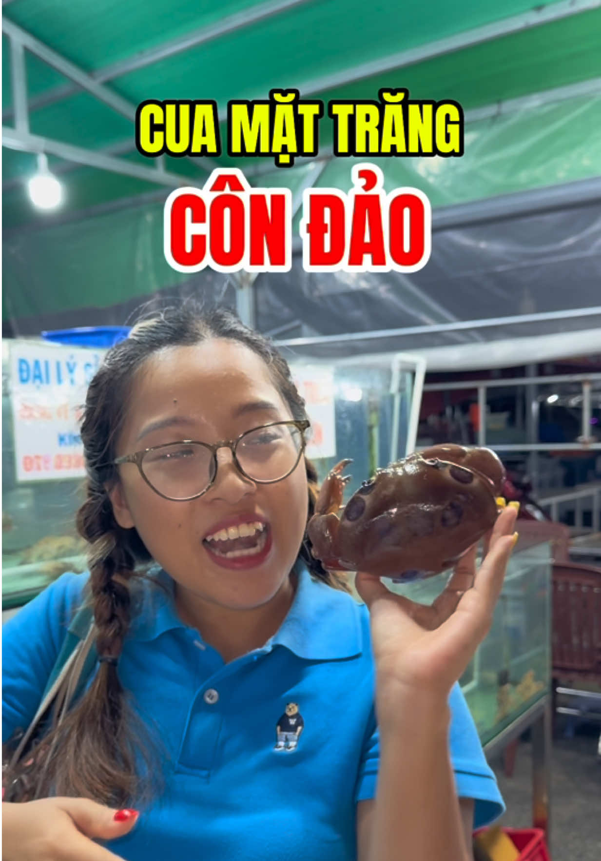 Cua mặt trăng đặc sản Côn Đảo  Hải Sản Chợ Đêm Côn Đảo #emgiangcondao #dacsancondao #condaoangi #cuangoncondao #condao 