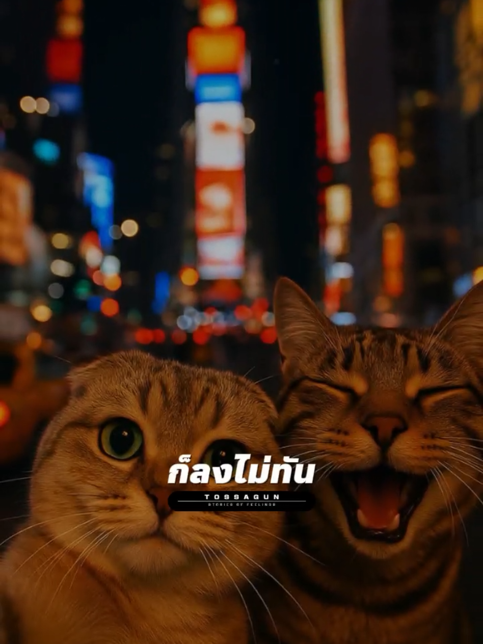 #CapCut #คนละครึ่งก็ลงไม่ทันคนละขวดก่อนละกันตอนนี้ #พี่โกสายฮา #คําคมโดนๆ #Tossagun22 