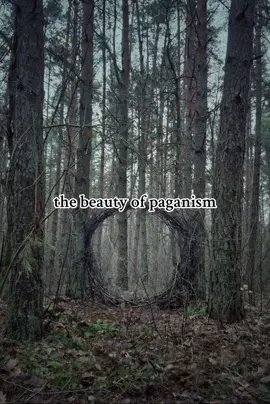 Гадание на рунах, ритуалы, диагностика: тгк hxdbwodanazson #эзотерика #руны #севернаятрадиция #скандинавскаямифология #norsemythology 