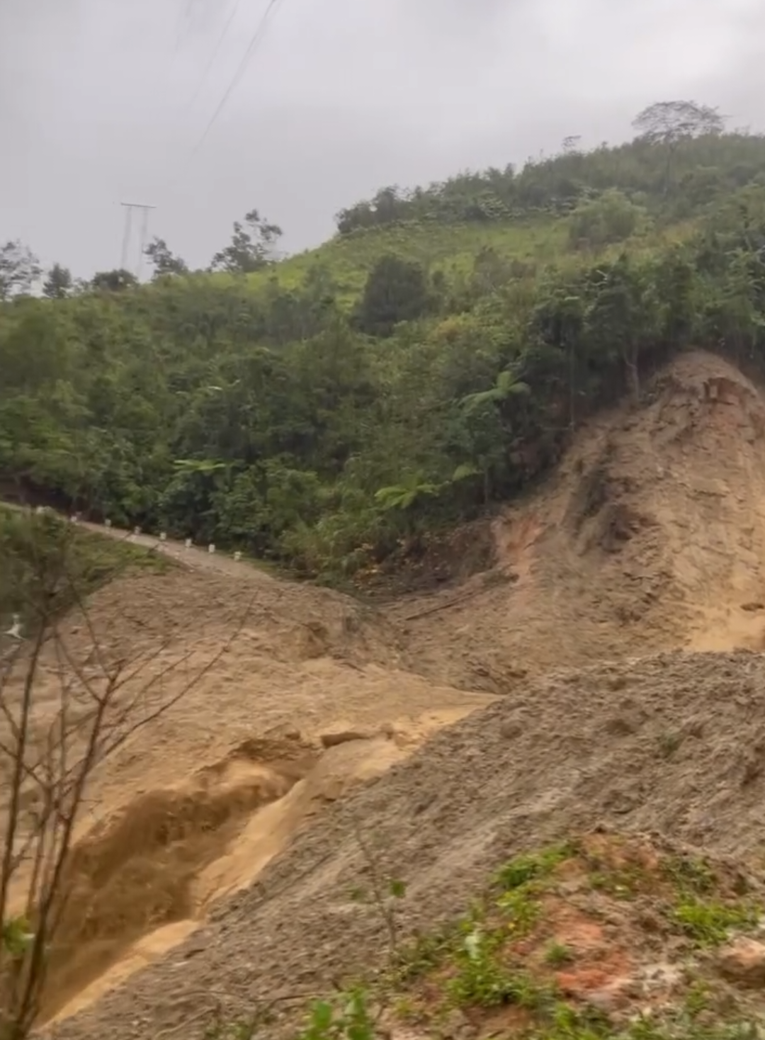 Sáng 28/10, ông A Phương - Bí thư Đảng ủy xã Ngọc Linh, tỉnh Quảng Ngãi, cho biết, do mưa lớn, trên địa bàn xã đã xảy ra một trận lũ quét tại khu vực thôn Làng Mới và đường lên thôn Ngọc Nang sạt lở làm 5 thôn bị cô lập. Xã đã tổ chức di dời khẩn cấp các hộ dân. #xãngọclinh #sâmngọclinh  #trend 
